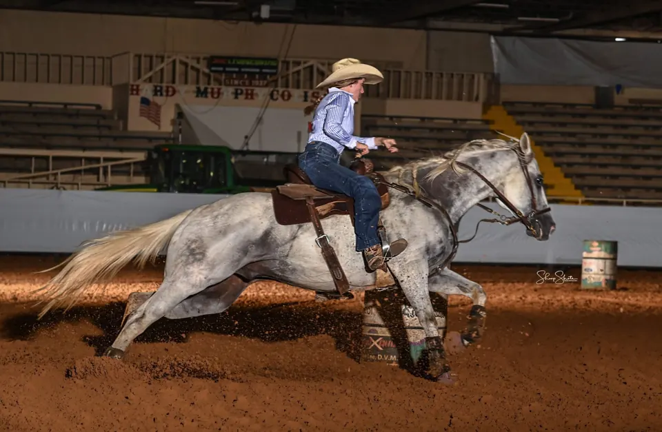 RRRFlingMeADream barrel horse for sale